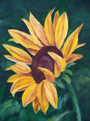 sunflower art